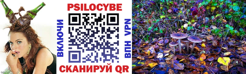 Галлюциногенные грибы GOLDEN TEACHER  наркотики  Красный Сулин 